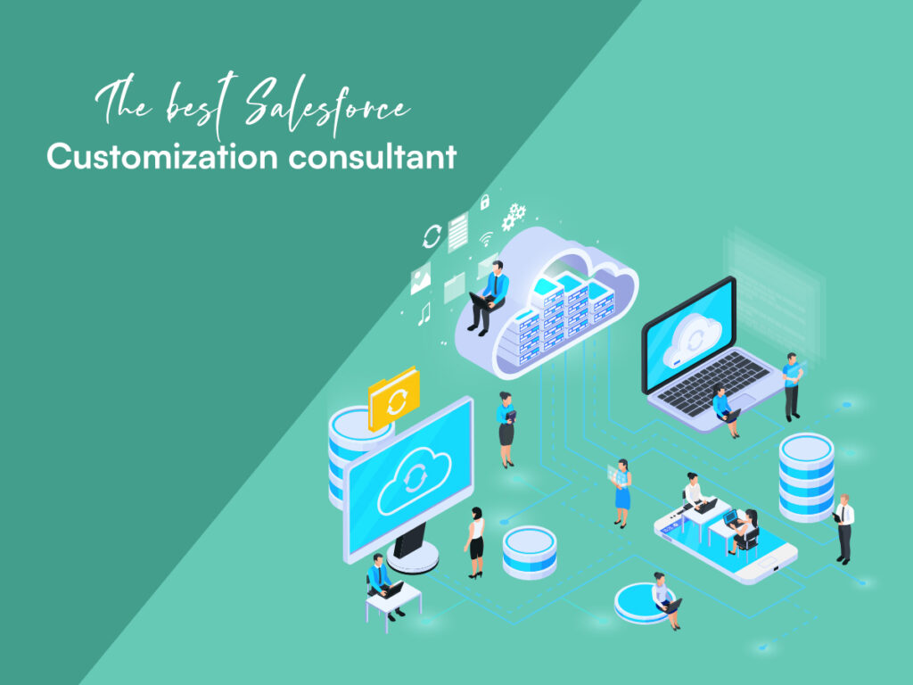 Salesforce customization consultant